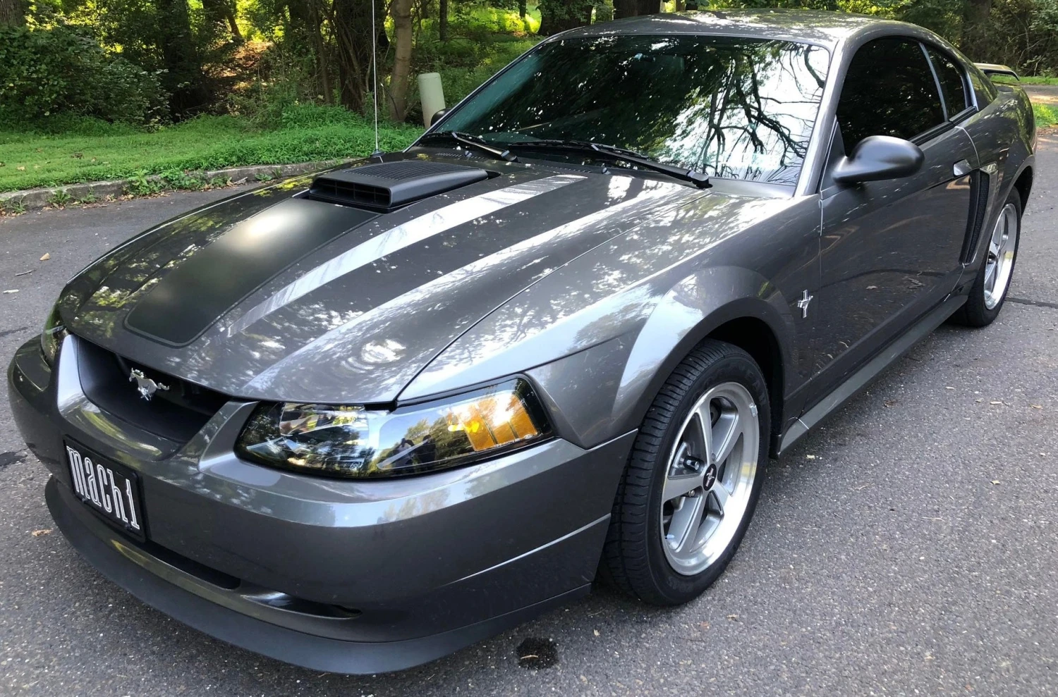 Ford CX Dark Shadow Gray Basecoat + Reducer Quart (Basecoat Only) Kit 3 Ford CX Dark Shadow Gray Basecoat + Reducer Quart (Basecoat Only) Kit