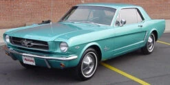 Ford Code D Dynasty Green Basecoat With Reducer Gallon (Basecoat Only)