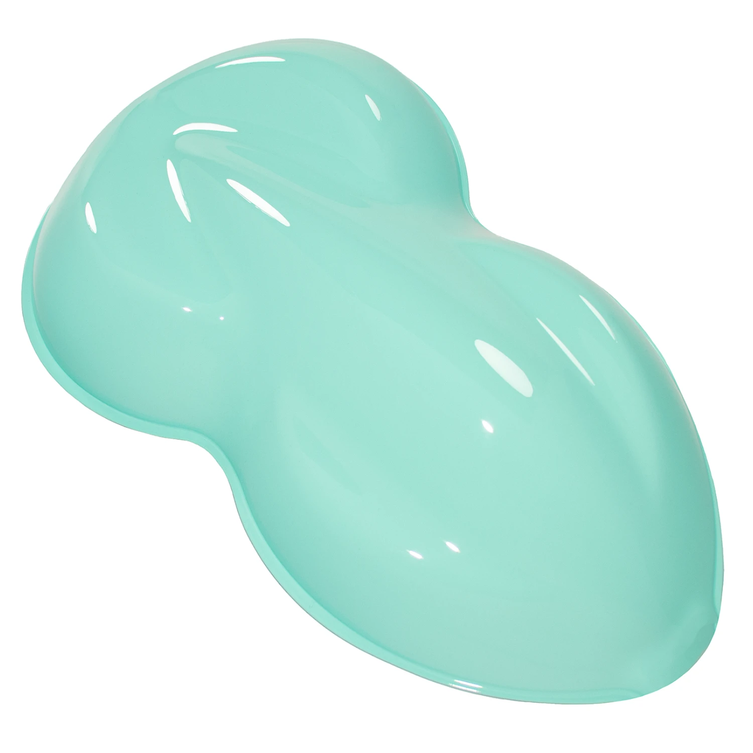 Tiffany Blue Basecoat Clearcoat Quart Complete Paint Kit 3 Tiffany Blue Basecoat Clearcoat Quart Complete Paint Kit